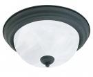 Picture of recalled SL8691-81 light fixture