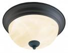 Picture of recalled SL8771-63 light fixture