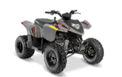 Model Year 2018-2020 Polaris Phoenix 200 ATVs