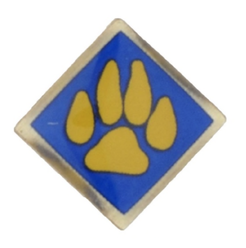 Recalled Cub Scout outdoor activity pin