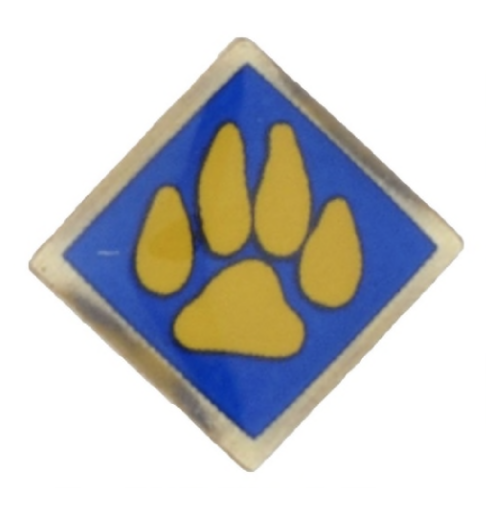 Cub Scout activity pins