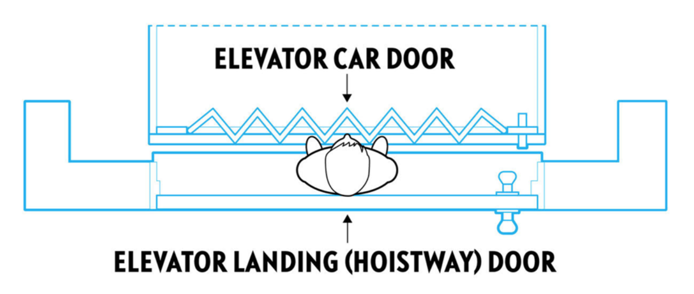Typical scenario depicting a child trapped between an exterior landing (hoistway) door and an interior elevator car door. The closing of the exterior door locks the child in the space between the doors when the elevator is called to another floor, putting the child at risk of being crushed or pinned by the elevator car.