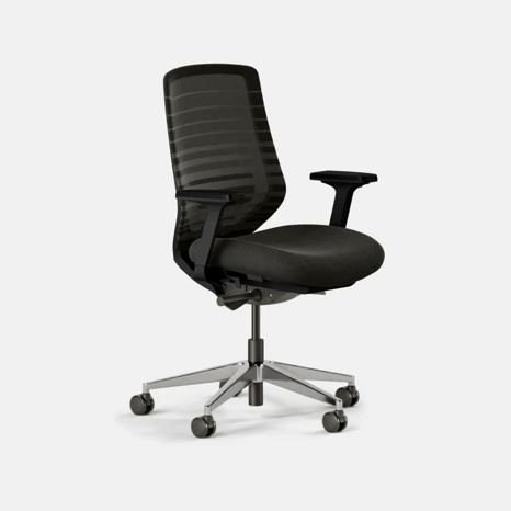 Ergonomic Chairs