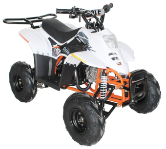 Recalled EGL Motor ACE D110 Youth ATV  