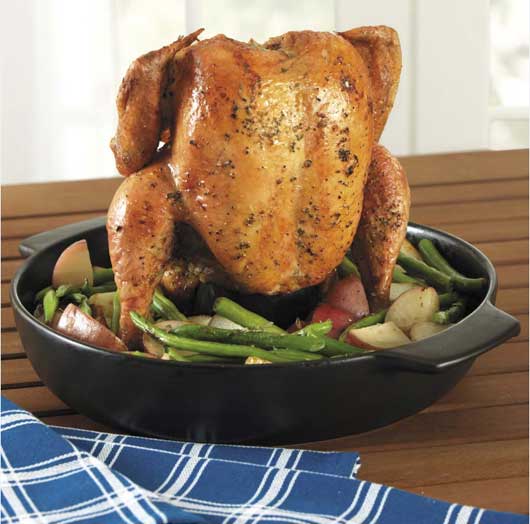 CHEFS recalled vertical chicken roaster