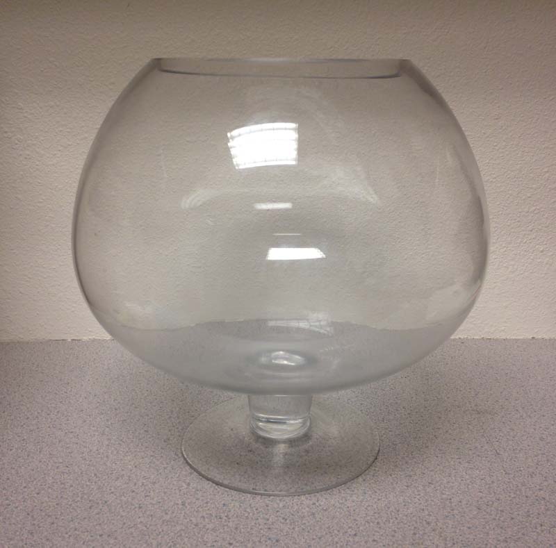 Grreat Choice or Top Fin glass fish bowl