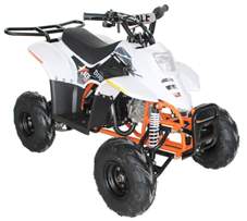 Recalled EGL Motor ACE D110 Youth ATV