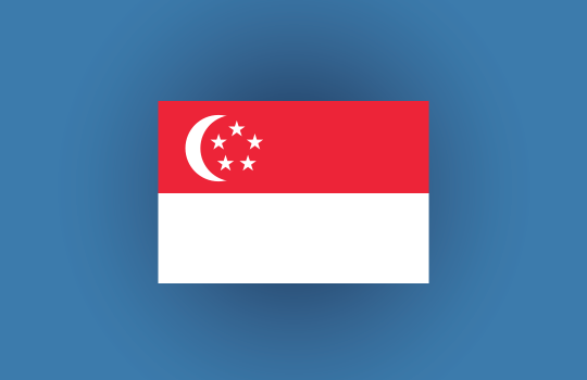 Product Safety Singapore Flag