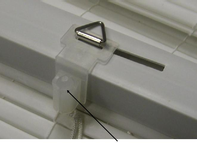 Oval Roll-up Blinds and Woolrich Roman Shades