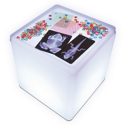 Roylco Educational Light Cube 