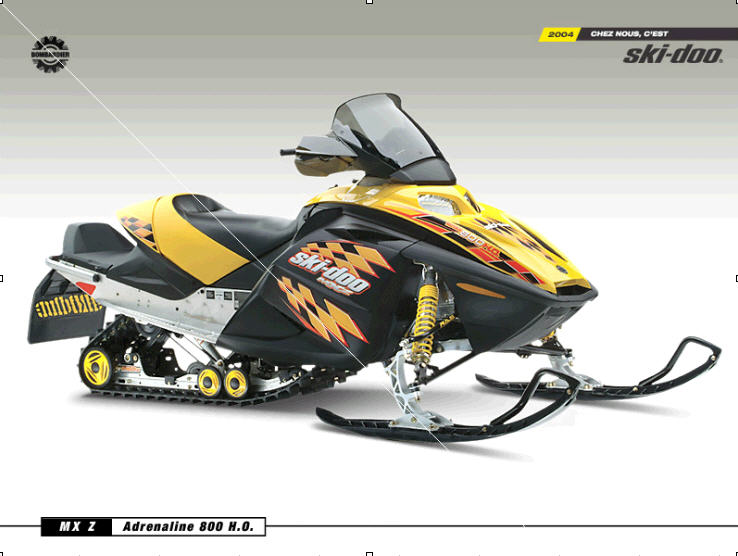 Ski-Doo® 2004 MX Z (E) 800 HO and GSX LTD (E) 800 HO snowmobiles