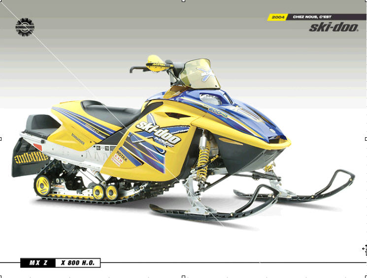 Ski-Doo® 2004 MX Z (E) 800 HO and GSX LTD (E) 800 HO snowmobiles