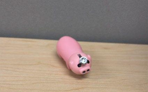 Recalled Somgem Lightweight Tiny Pinky Pig Lighter