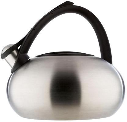 Recalled Stainless Steel Tea Kettle