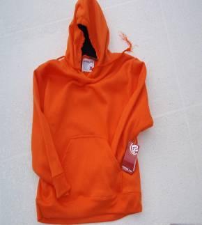 Recalled Children's Hooded Sweatshirt with Drawstrings