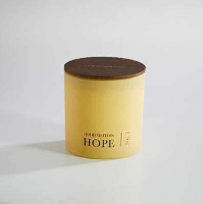 Recalled Good Matters three-wick 21 oz. candle – Hope