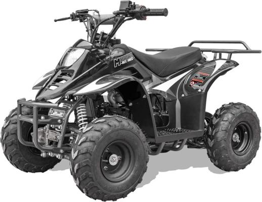Recalled Rex110 Youth ATV – Black