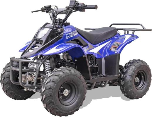 Recalled Rex110 Youth ATV – Blue