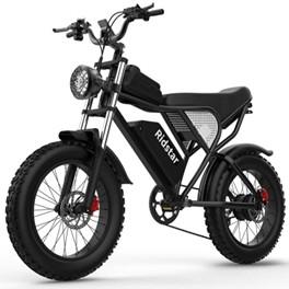 Ridstar Q20/Q20 Pro e-bike