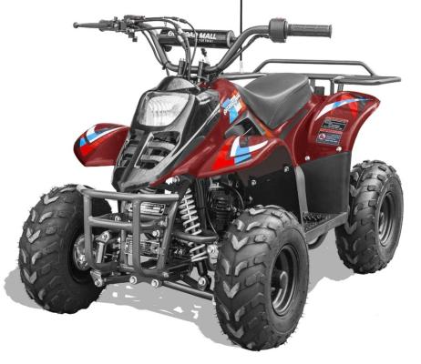 Recalled Rex110 Youth ATV – Burgundy