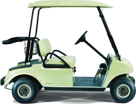 DS Gas Golf Car (AG)