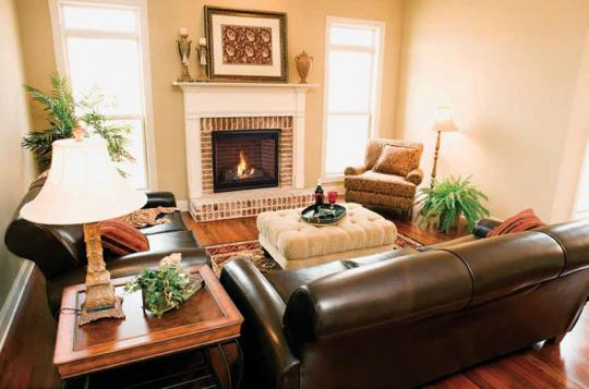 SLDVT model fireplace