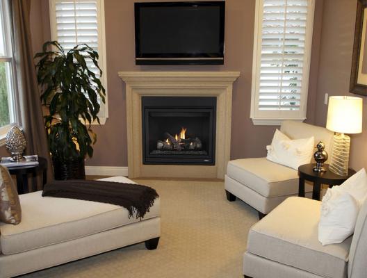 MLDVT model fireplace