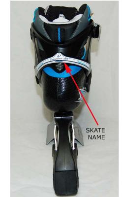 “Tempest” name on the skate