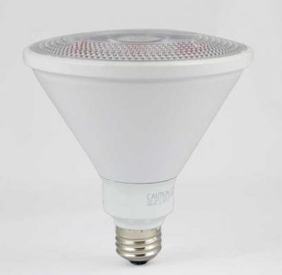 LED 14 watt PAR38 Wet Location Bulb