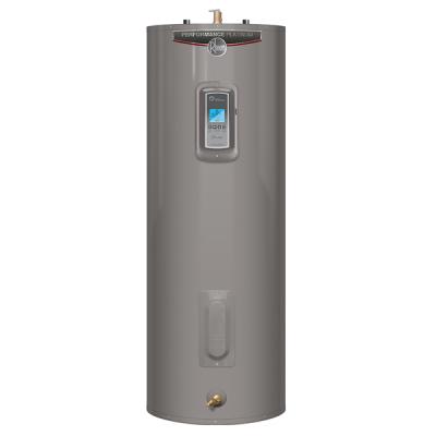 Recalled Rheem brand Performance Platinum electric water heater.