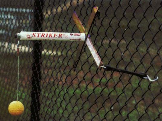 Striker batting aid