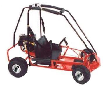 Fun-Kart with Recalled Tecumseh Engine