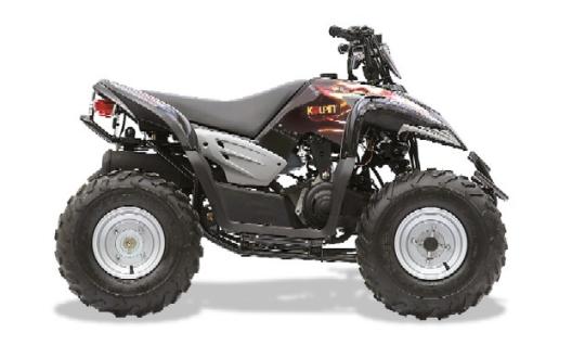 Image of recalled ATV
