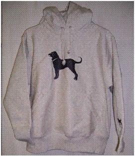 Recalled Children's Hooded Sweatshirt with Drawstrings