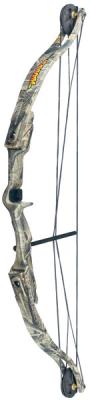 Picture of recalled bow