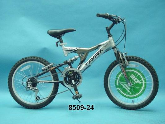 Recalled Dynacraft Triax PK7 (model 8509-24) Bicycle