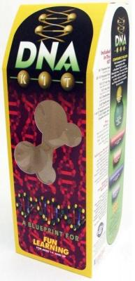Recalled Educational Kit