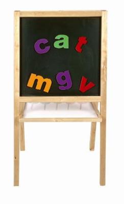 Recalled Elite 5-in-1 Easel