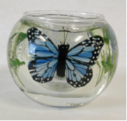 Recalled Gel Candle - Round Shape with Two Butterflies, Model #806-8 