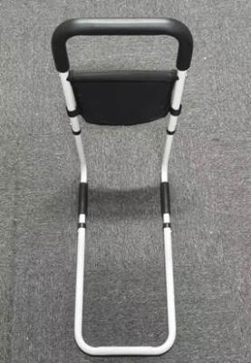 Recalled Hopelight Bed Rail (back view)