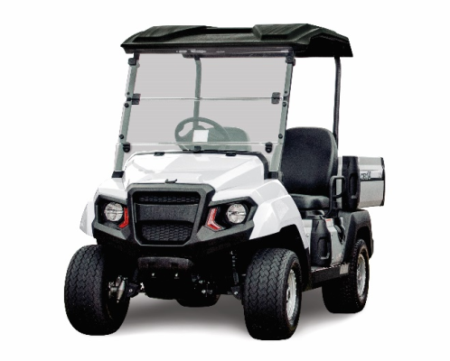 Recalled UMAX golf cart