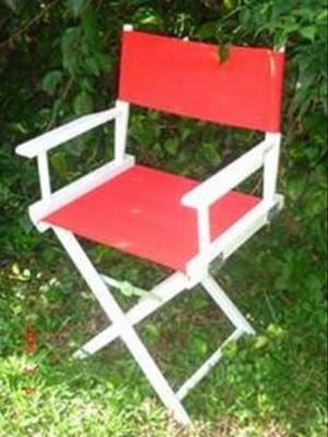 Recalled Folding Director's Chair