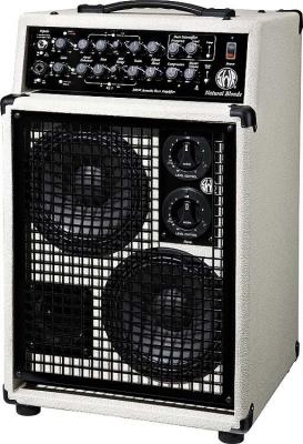 Recalled Acoustic Bass Amplifier