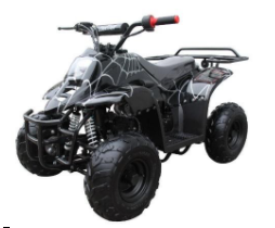 Recalled Maxtrade Coolster 3050-C Youth ATV