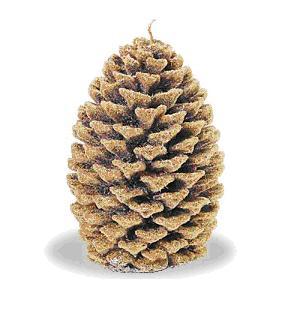 Recalled Vivre Royale Pine Cone Candle