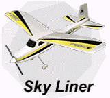 Radio-controlled plane used with recalled battery packs