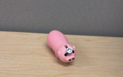 Recalled Somgem Lightweight Tiny Pinky Pig Lighter