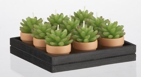 Recalled succulent shaped decorative candles