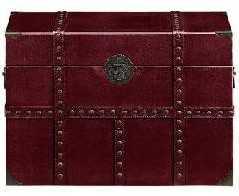 Recalled Home Decorators Collection Leather Suitcase Trunk