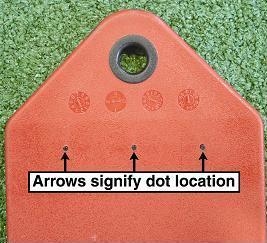 Recalled Sling Swing Seat